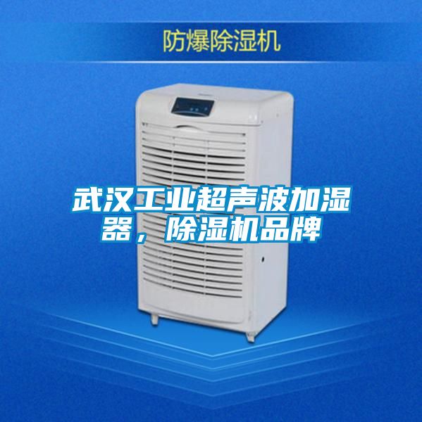 武漢工業超聲波加濕器，除濕機品牌